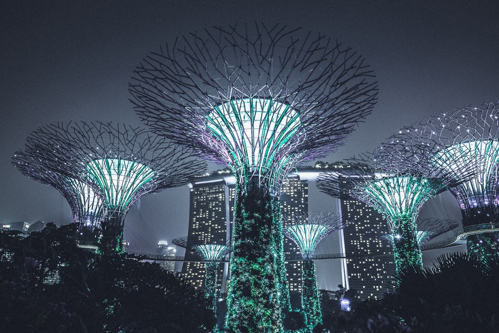 Сады у залива (Gardens by the Bay), Сингапур